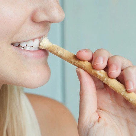 Swissclear Ancient Miswak